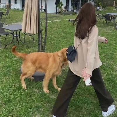 不曾遗忘的暮色