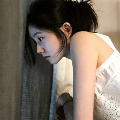 我可爱的宾杜